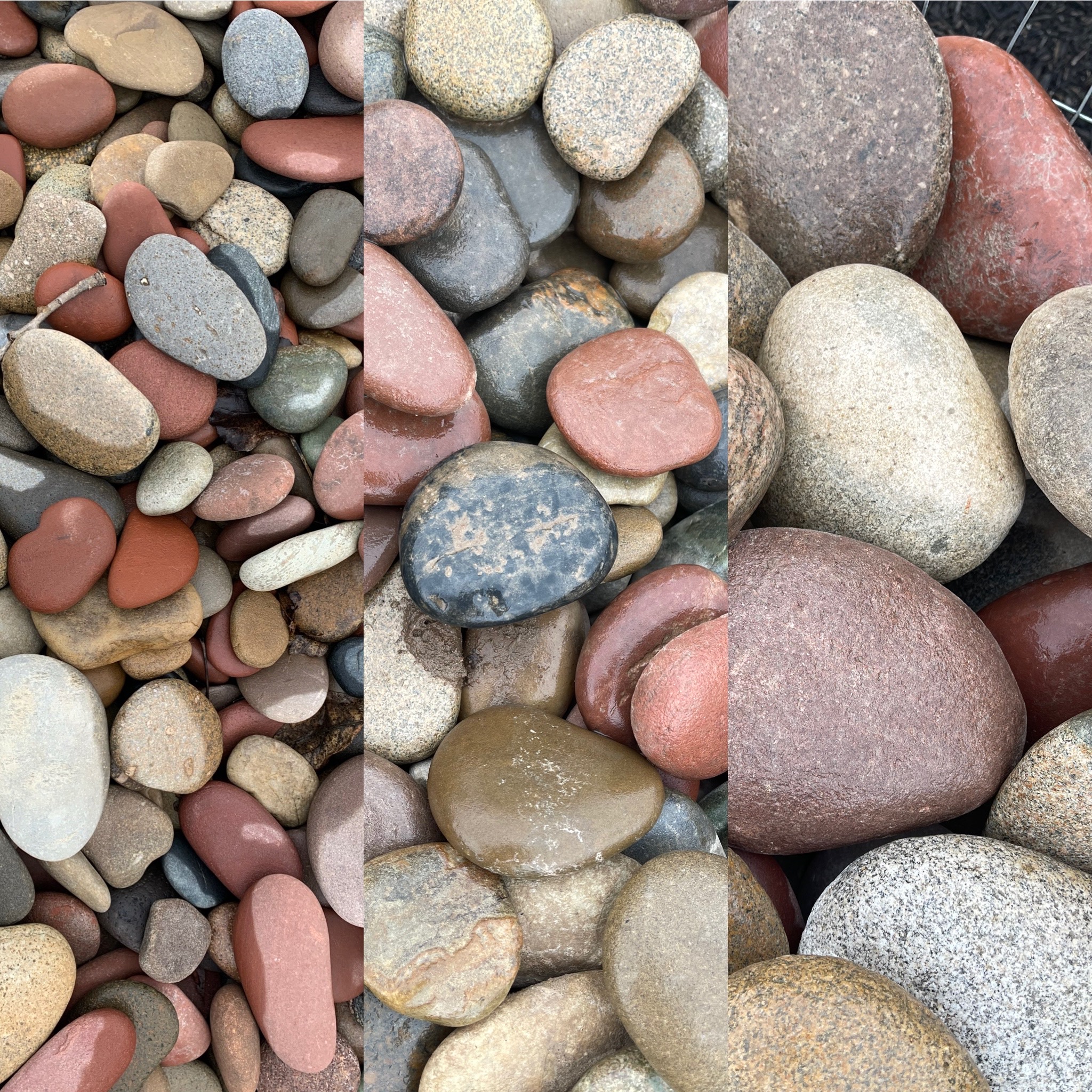 Colorado Skippers landscape stone